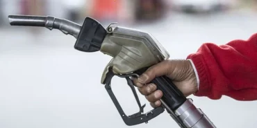 pompaya-buyuk-zam-bartin