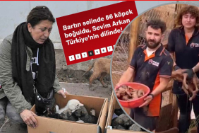 sevim-arkan-izinsiz-barinak-bartin-valiligi-tepki
