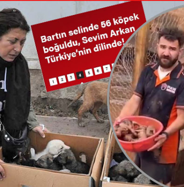 sevim-arkan-izinsiz-barinak-bartin-valiligi-tepki