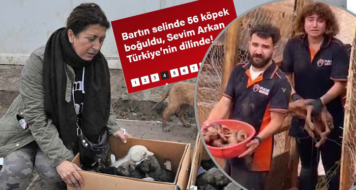 Barınak trajedisiyle ilgili resmi açıklama: Ekiplerimiz kapıyı kırıp…