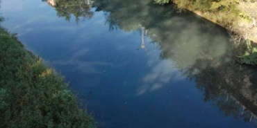 siyah-akan-bartin-cayi-mecliste-konusuldu