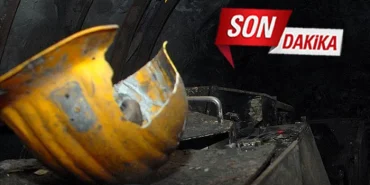 ttk-armutcuk-ocaginda-gocuk