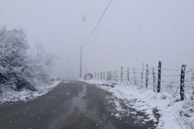 ulukoy