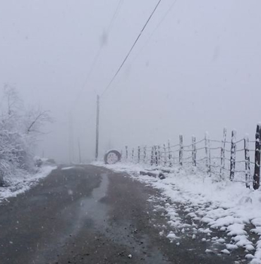 ulukoy