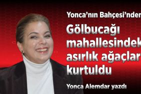 yonca-alemdar-yazdi