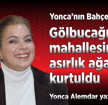 yonca-alemdar-yazdi