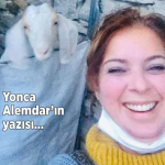 yonca-alemdarin-yazisi