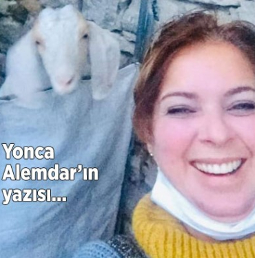 yonca-alemdarin-yazisi