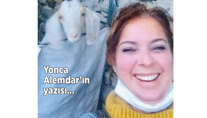 yonca-alemdarin-yazisi