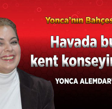 yonca-alemdarin-yazisi-kent-konseyi
