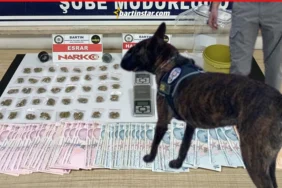 Bartın’da uyuşturucu operasyonu narkotik köpeği SİS yakaladı1