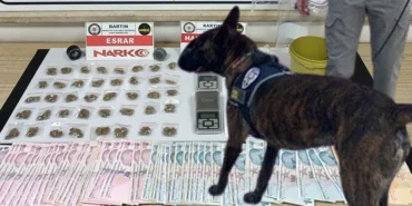 Bartın’da uyuşturucu operasyonu narkotik köpeği SİS yakaladı1