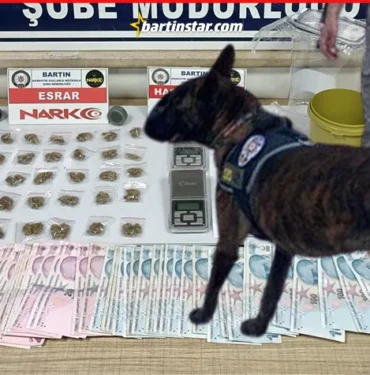 Bartın’da uyuşturucu operasyonu narkotik köpeği SİS yakaladı1