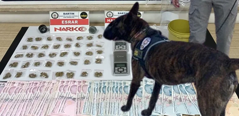 Bartın’da uyuşturucu operasyonu narkotik köpeği SİS yakaladı1