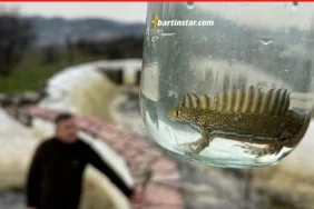 Bartın’daki süs havuzunda bulundu, görenleri hayrete düşürdü