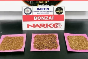 bartında bonzai ele geçirildi