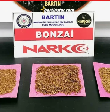 bartında bonzai ele geçirildi