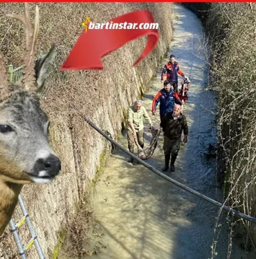 su kanalına düşen karaca balık ağıyla kurtarıldı