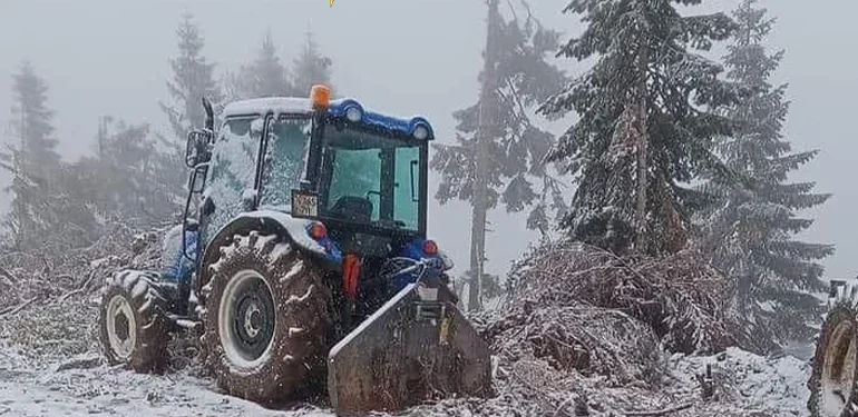 Kocakarı soğukları fena geldi! Ardıç Yaylası beyaza büründü