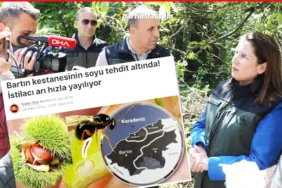 bartında gal arısına karşı doğaya terminatör böcek salındı