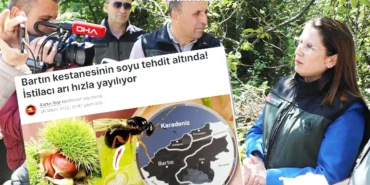 bartında gal arısına karşı doğaya terminatör böcek salındı