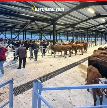 brtında modern hayvan pazarı hizmete başladı1
