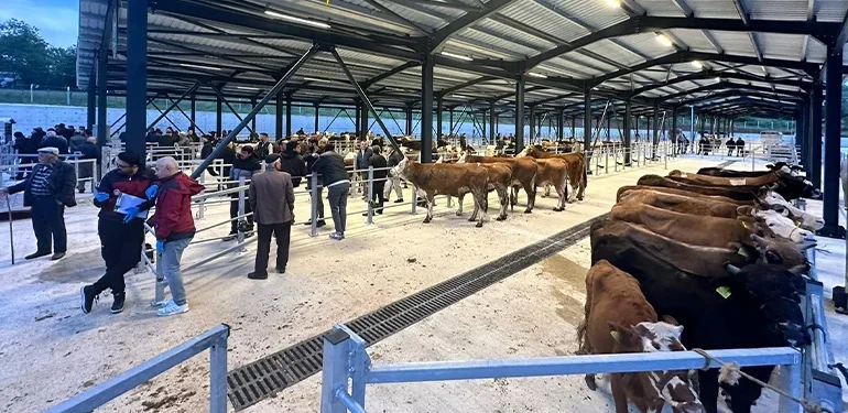 Kurban Bayramı öncesi hizmete girdi! Bölgenin en büyüğü
