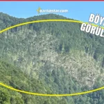 Kumluca sarıkaya bölgesinde ağaçlar yere kapandı