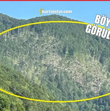 Kumluca sarıkaya bölgesinde ağaçlar yere kapandı