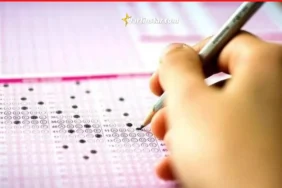 lys bartın şampiyonları belli oldu