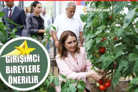 Bartın Valisi’ne domates toplatan proje4