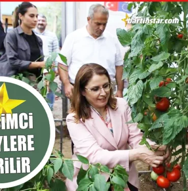 Bartın Valisi’ne domates toplatan proje4
