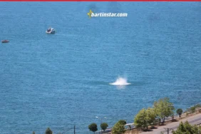 Pilaja 60 metre yaklaştı! Denizdeki büyük tehlike