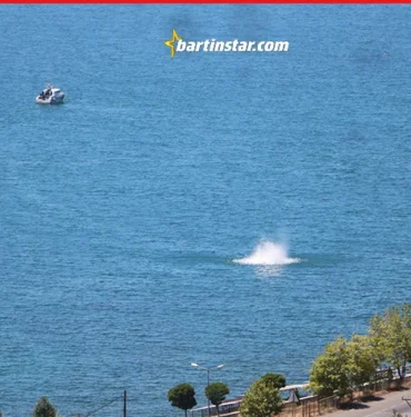 Pilaja 60 metre yaklaştı! Denizdeki büyük tehlike