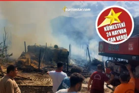 ULUSTA YANGIN 24 KÜMES HAYVANI CAN VERDİ