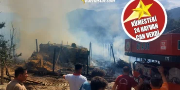 ULUSTA YANGIN 24 KÜMES HAYVANI CAN VERDİ