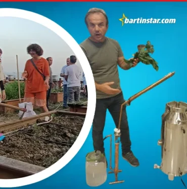 bartın bilim eğitim derneği Dikiyorlar, topluyorlar, imbikten geçiriyorlar1