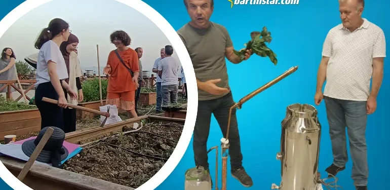 Dikiyorlar, topluyorlar, imbikten geçiriyorlar!