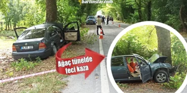 bartın karabük yolundaki ağaç tünelde geci kaza