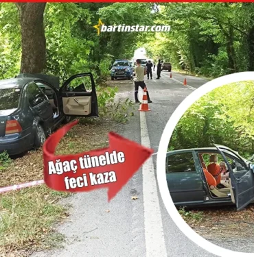 bartın karabük yolundaki ağaç tünelde geci kaza