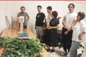 bartında defne kursu