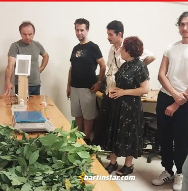 bartında defne kursu