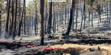 karabük ovacıkta 1014 futbol sahası büyüklüğünde orman yandı