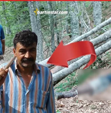 orman can aldı çaresizliğinz fotoğrafı
