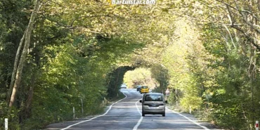 Ağaç tünel yolda sonbahar güzelliği4