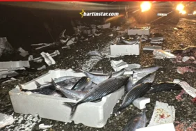 Bartın-Karabük karayolunda palamut avı