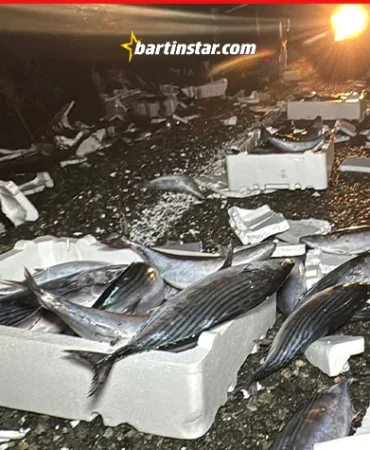 Bartın-Karabük karayolunda palamut avı