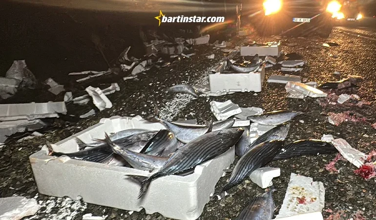 Bartın-Karabük karayolunda palamut avı