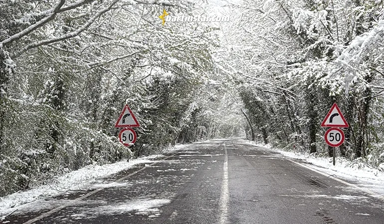 Bartın ağaç tünel! Bu fotoğrafları mutlaka görmelisiniz