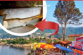 amasranın ağlayan ağacını kestiler